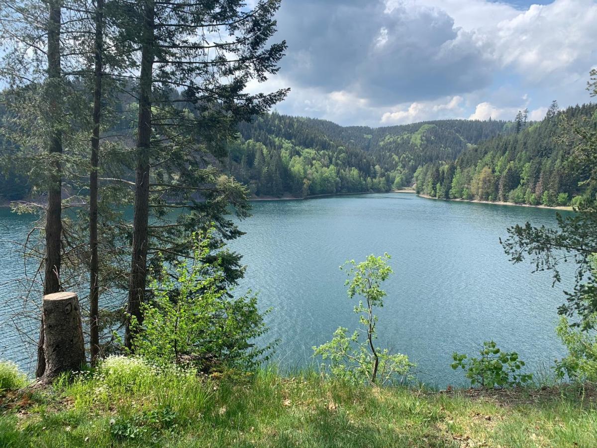 Tolle Ferienwohnung Mit Loggia In Schauenstein 100Qm Bei Hof An Der Saale Frankenwald Екстериор снимка